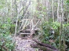 cachote - 20